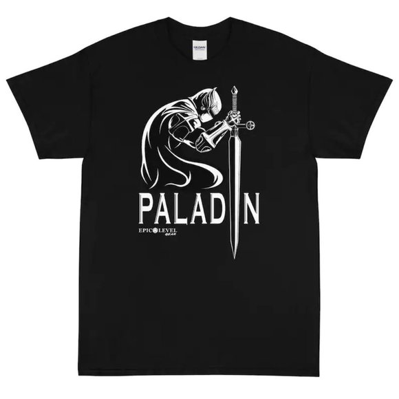 Gildan Other - Dungeons and Dragons Paladin TShirt